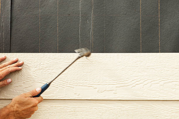 Best Fiber Cement Siding Installation  in Adel, GA